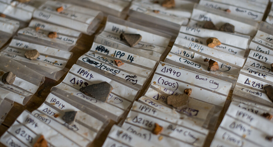 Archaeology Samples