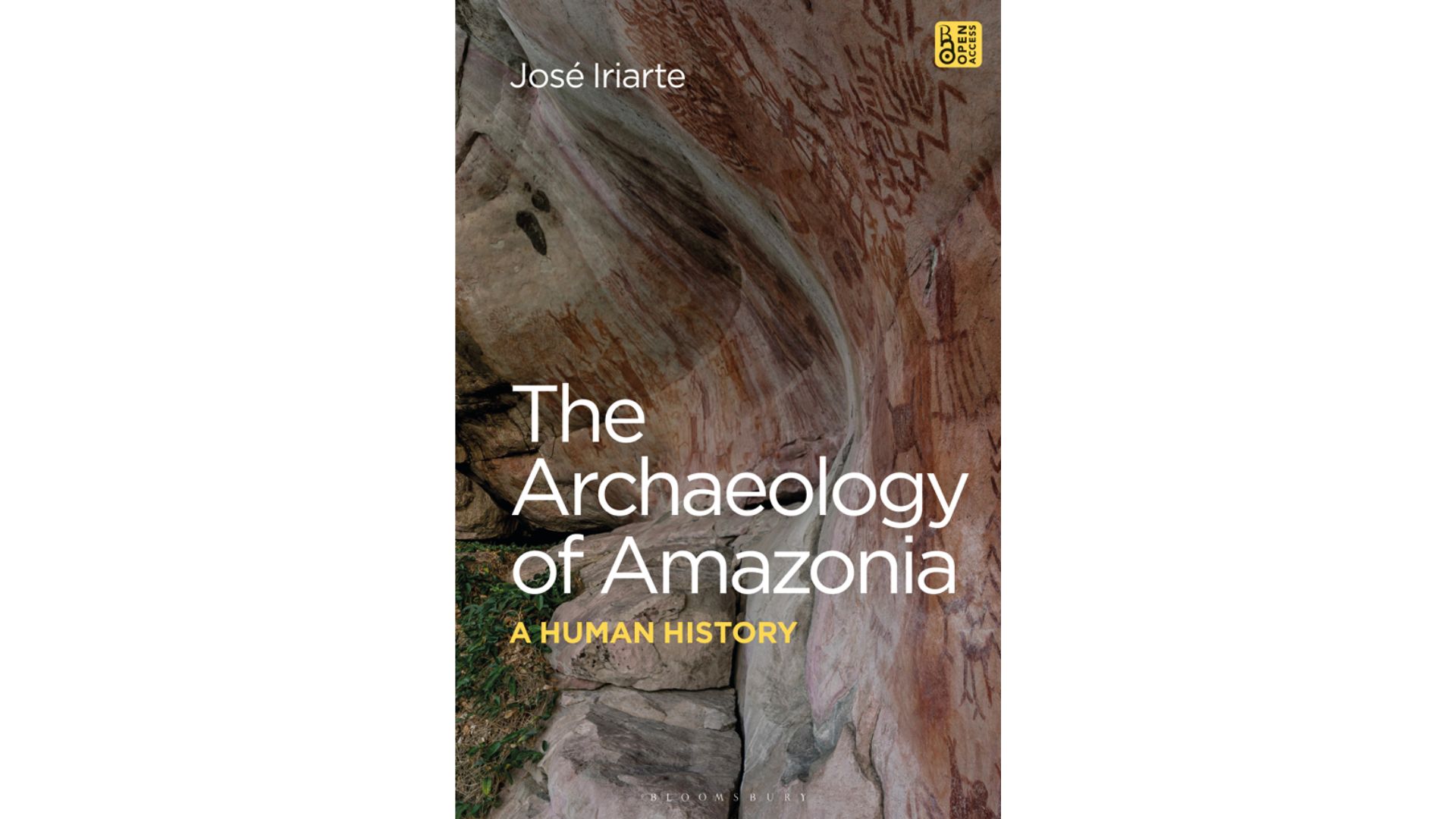 Book cover of The Archaeology of Amazonia by Dr José Iriarte